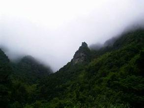 下载.jpg