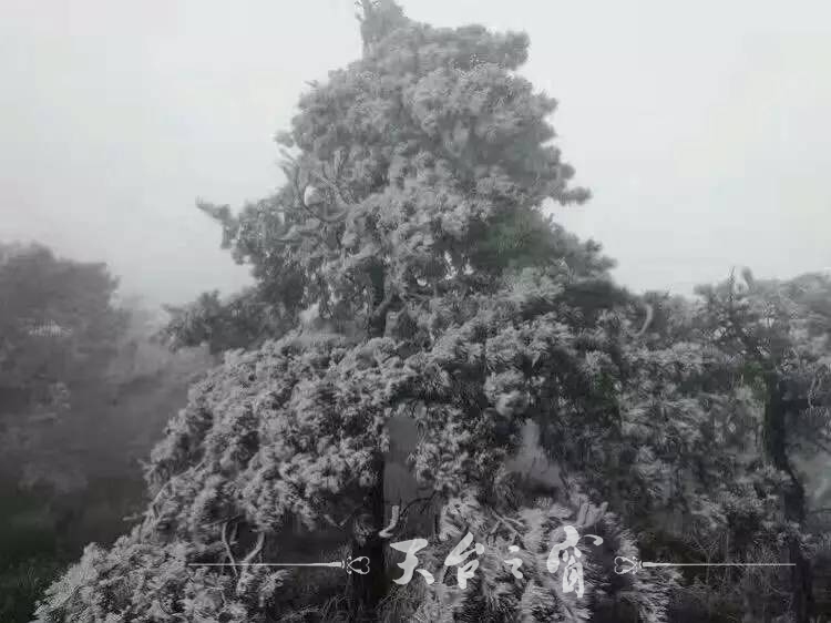 0?wx_fmt=jpeg.jpg