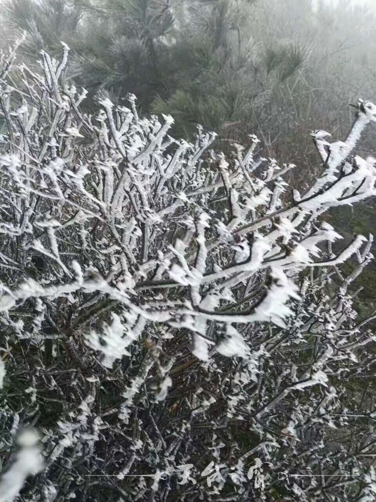 0?wx_fmt=jpeg.jpg