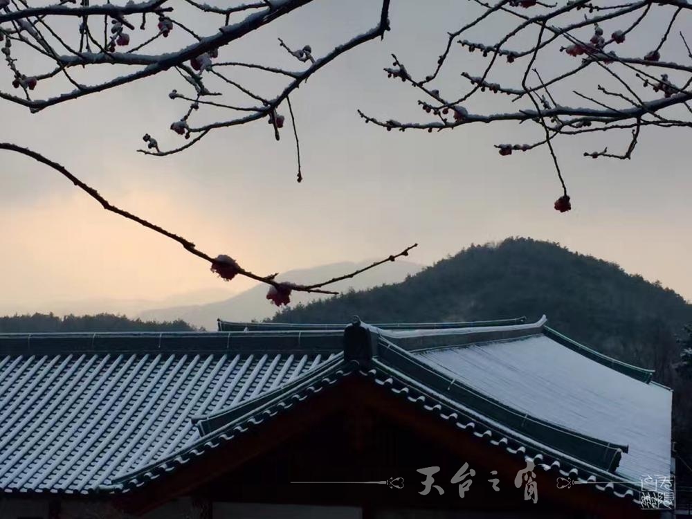 s_1486607216674206.jpg