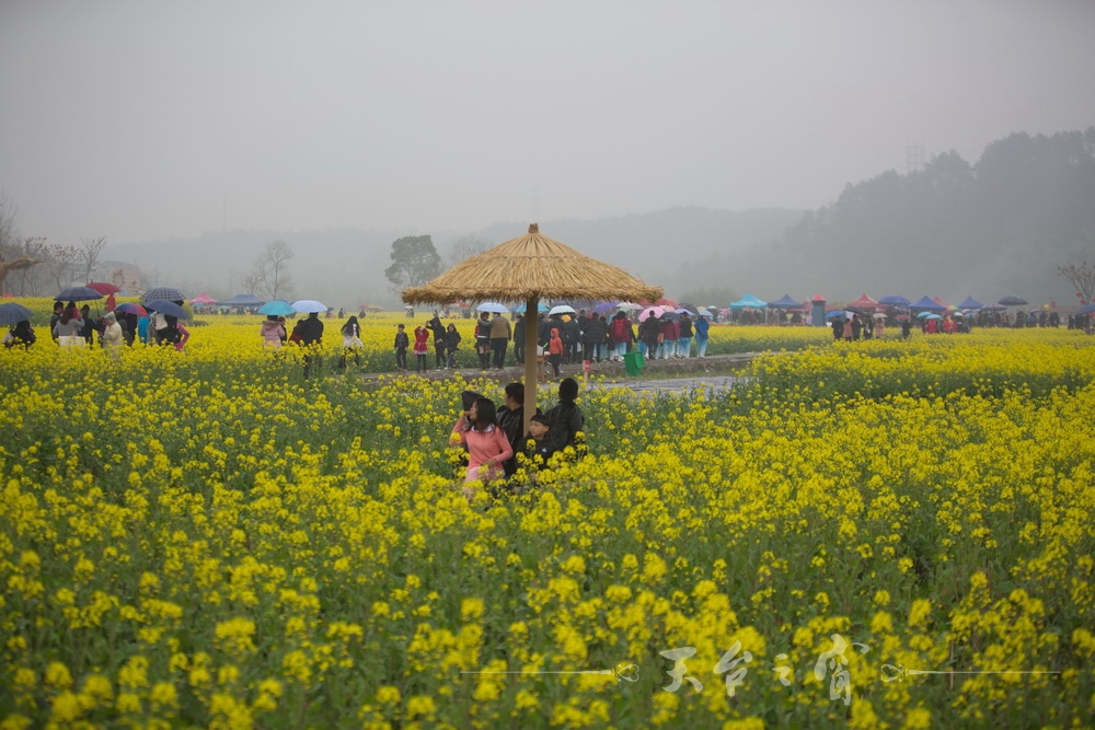 125A1252_调整大小.jpg