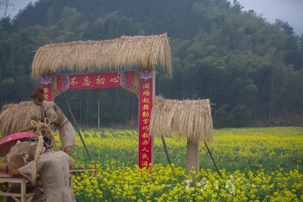 125A1275_调整大小.jpg