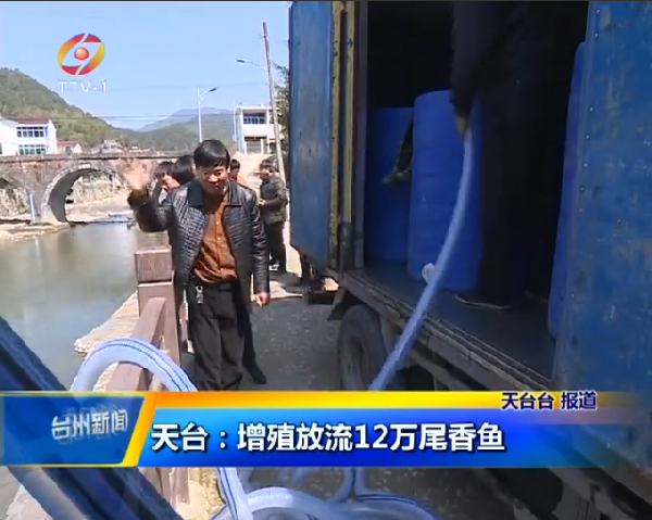 尾香鱼.png