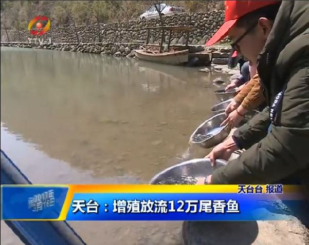 尾香鱼1.png