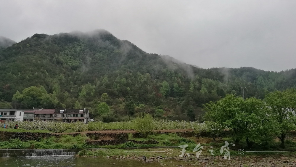 IMG_20170409_114426_调整大小.jpg