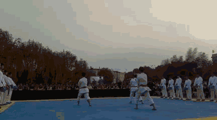0.gif