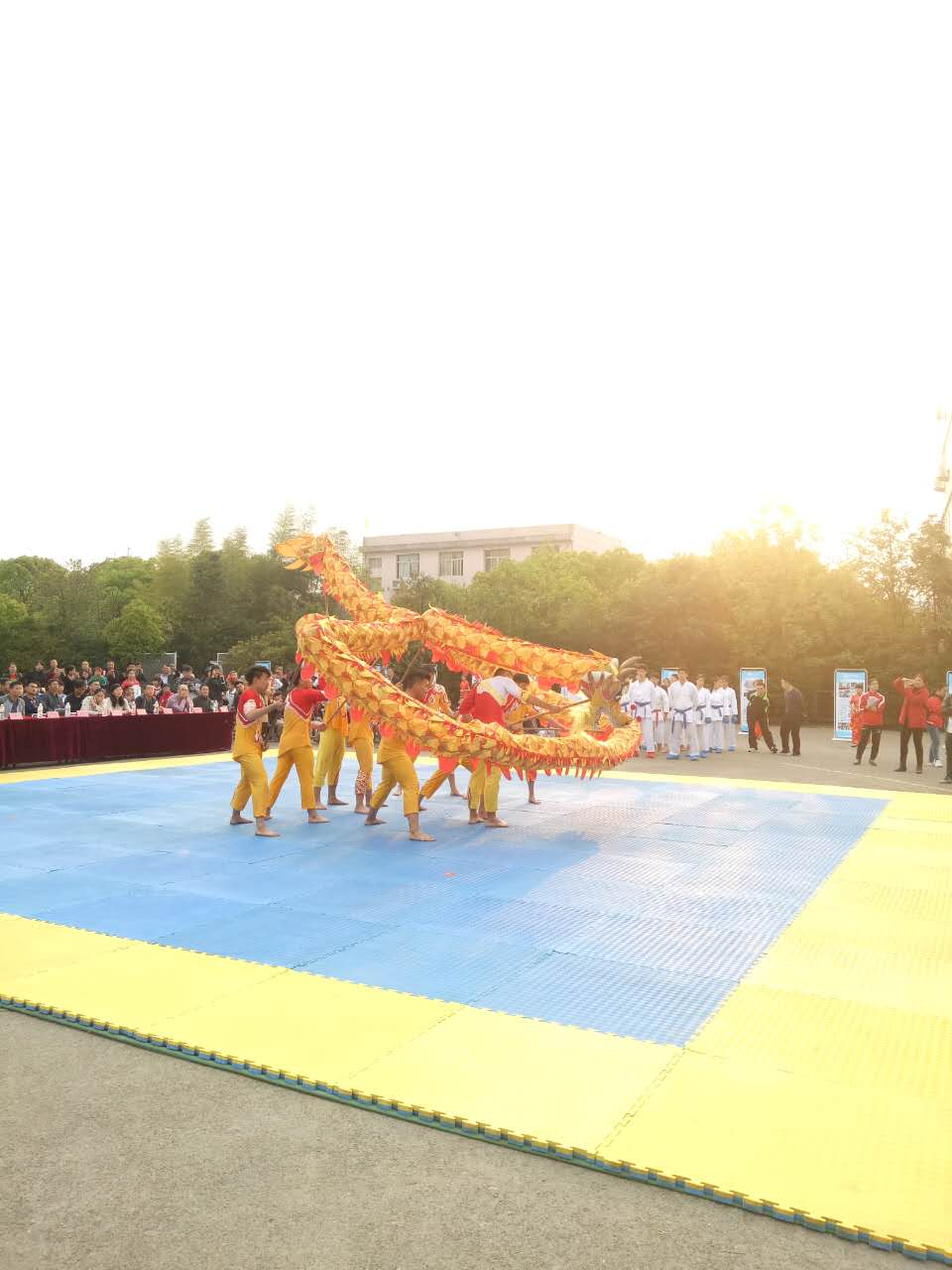 文武龙.jpg