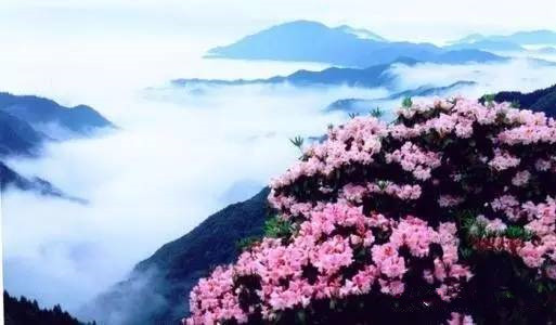 26ec7f870445440da824aa0df84d0ccc_th_副本.jpg