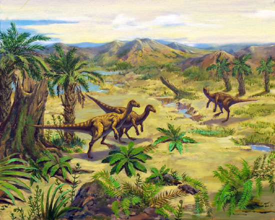 20120113031725906.jpg