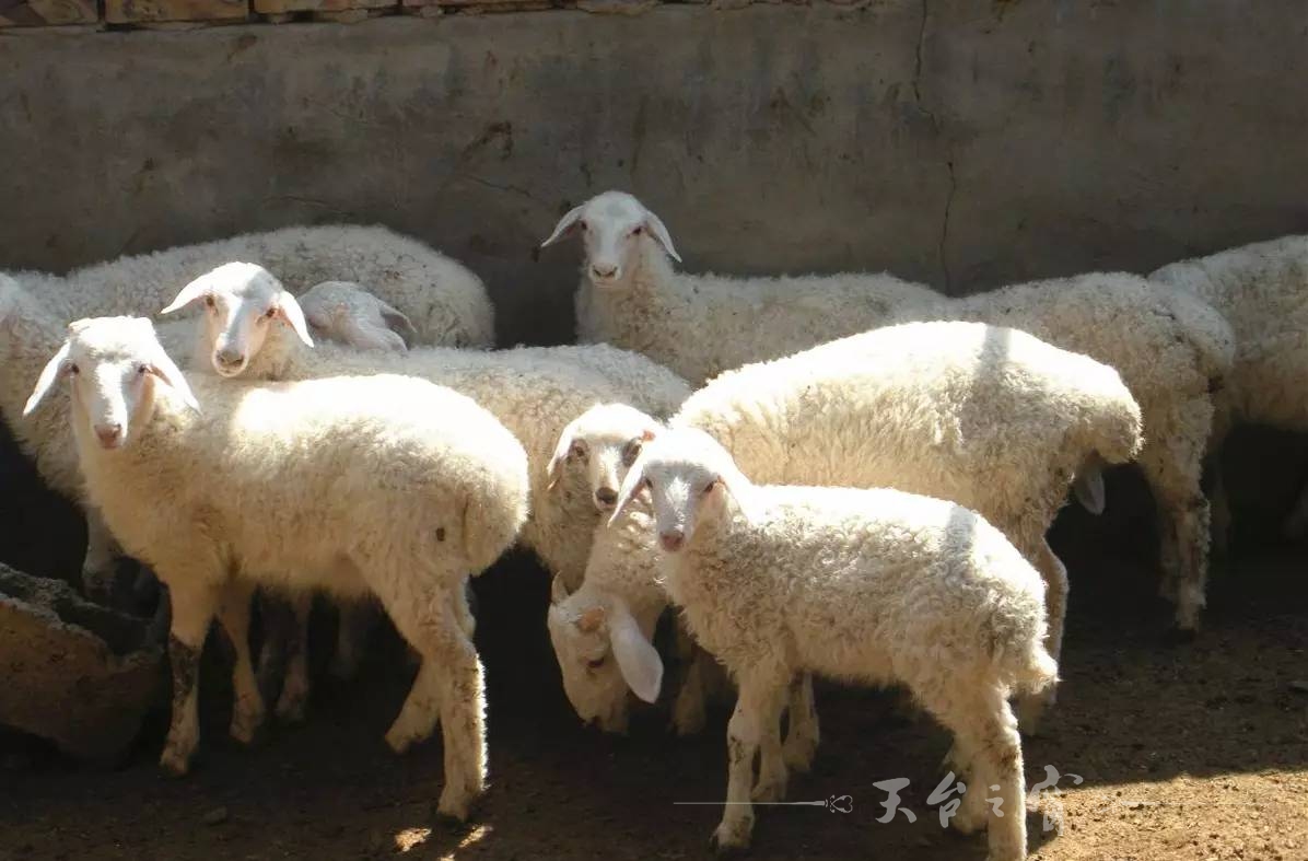 微信图片_20170420084645.jpg