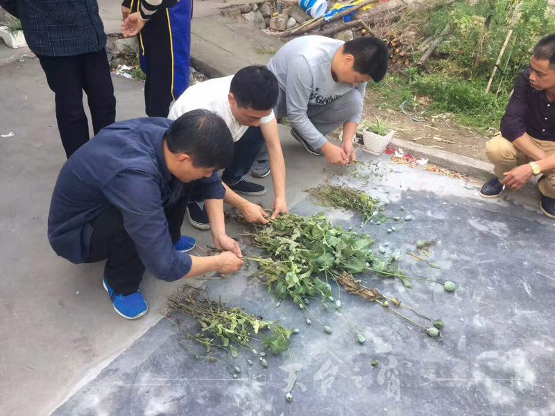 5.121_副本.jpg