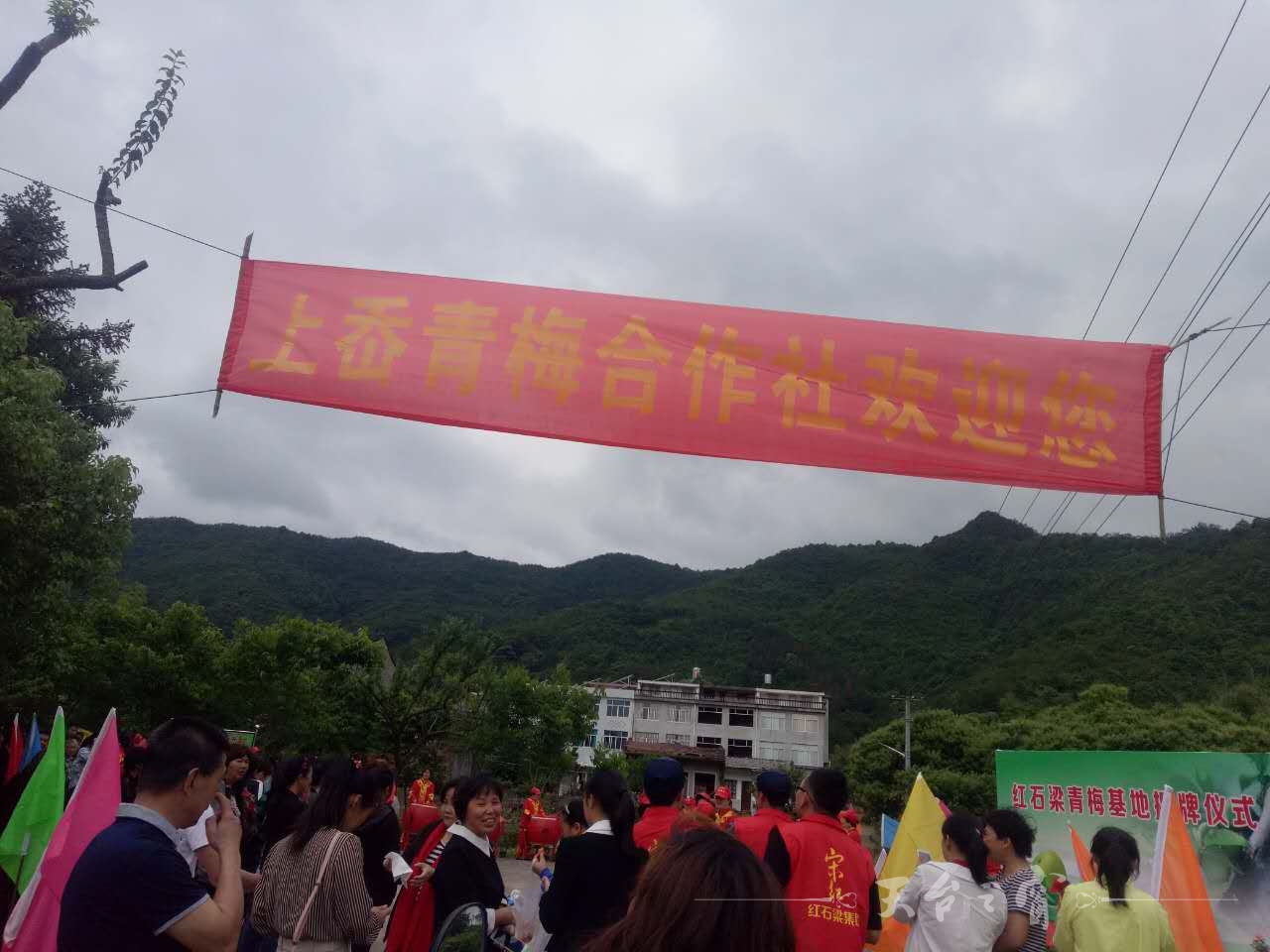 微信图片_20170524152543.jpg