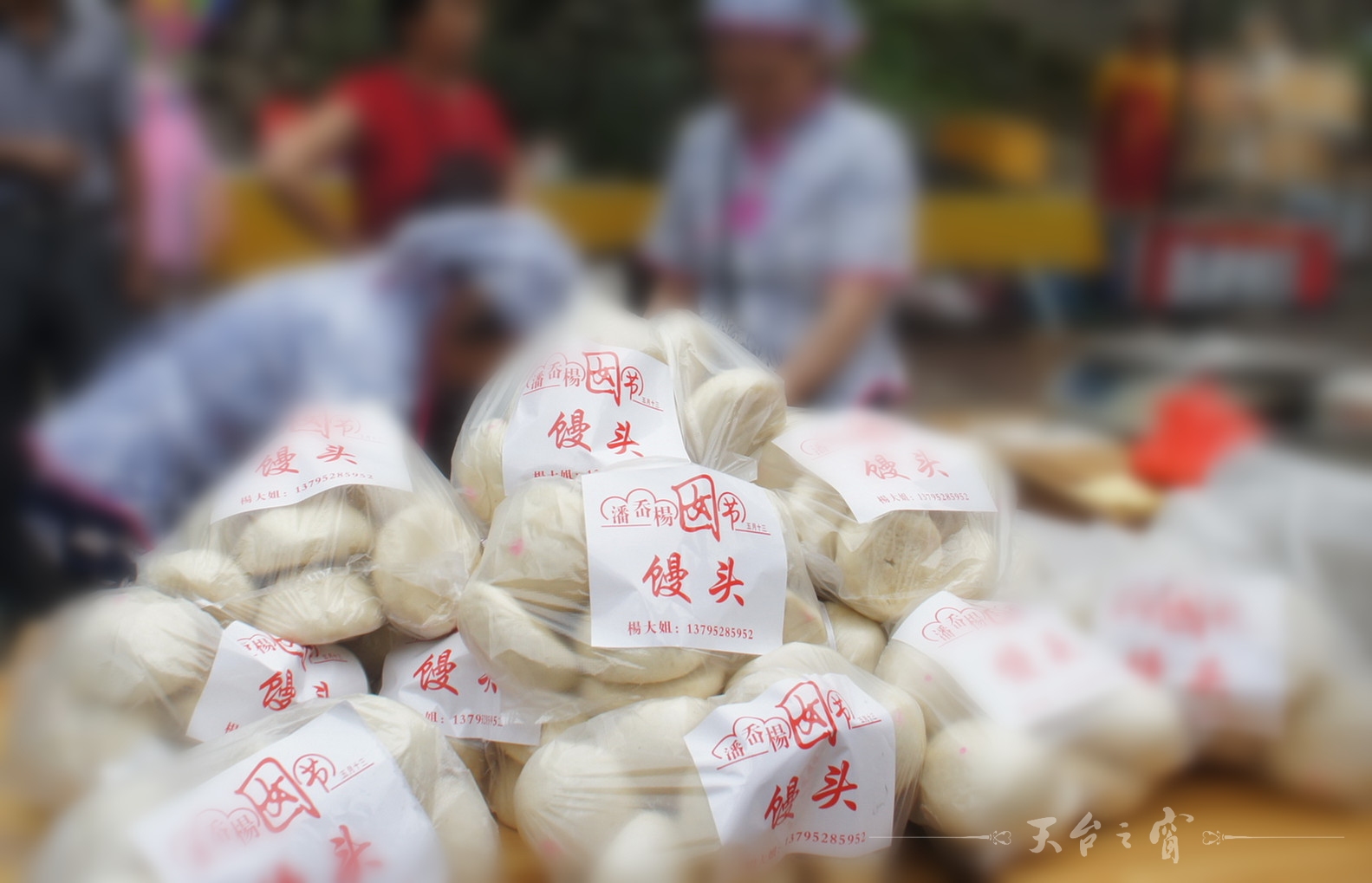 DSC00927_调整大小_副本.jpg