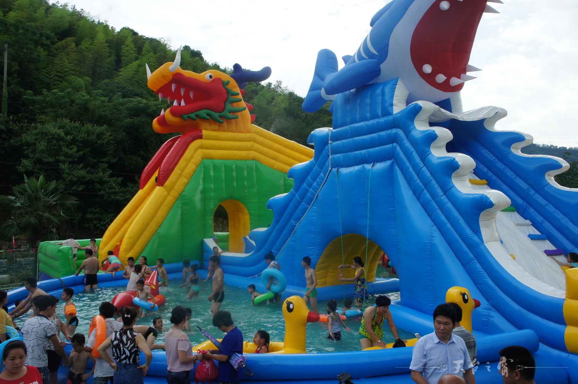 DSC01536_调整大小.JPG