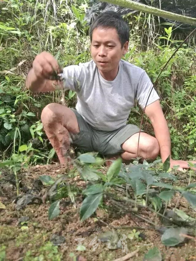 7.101._副本.jpg