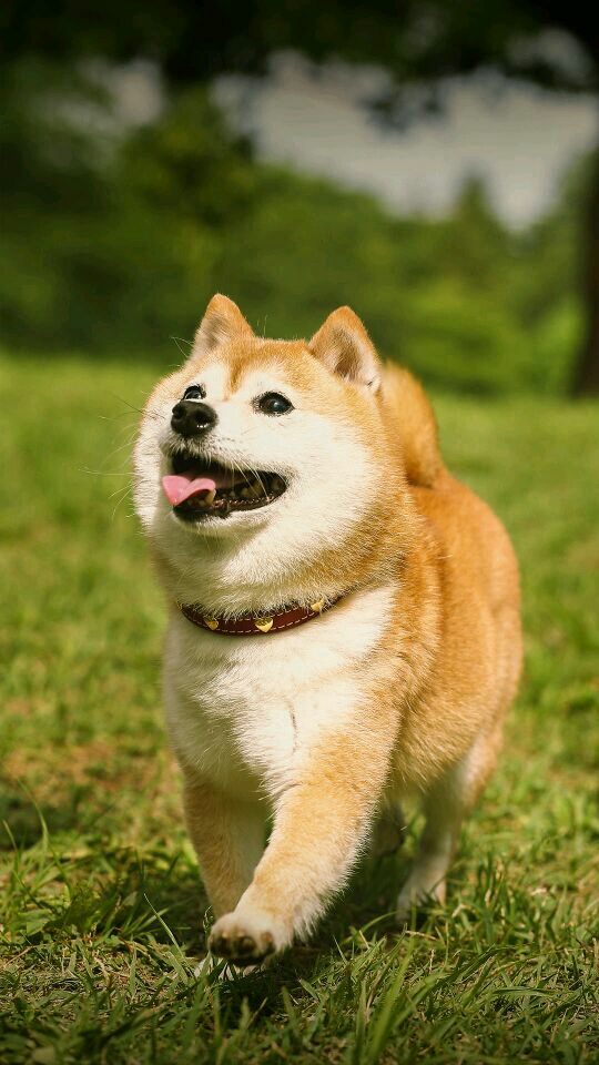 4QDYx8U0Kdvv.jpg