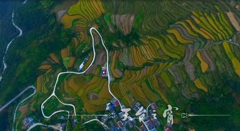 pHNmpVJB_xt4N.jpg