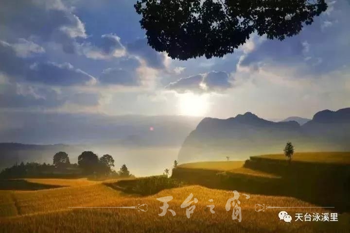 微信图片_20171010094128.jpg