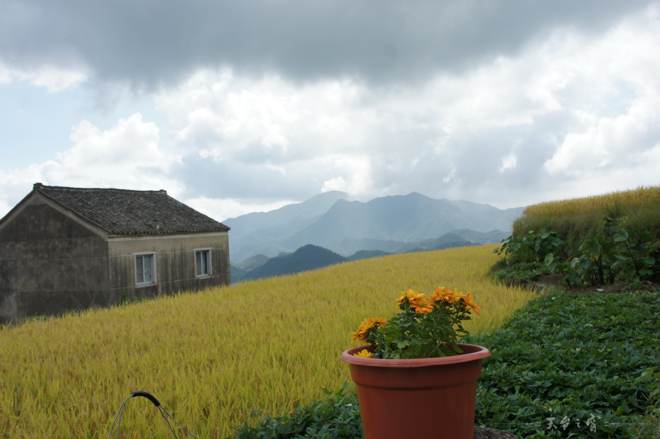 DSC02428_调整大小.JPG