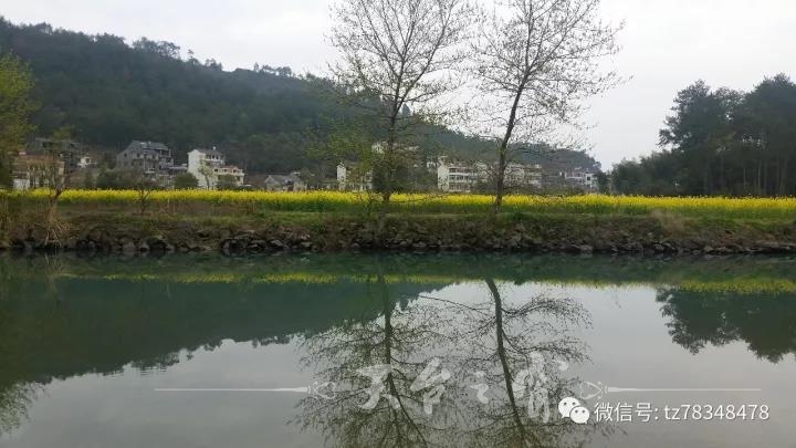 微信图片_20171012090730.jpg