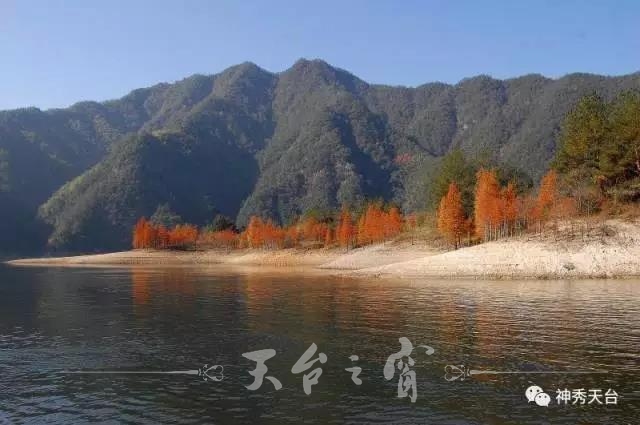 微信图片_20171012094841.jpg