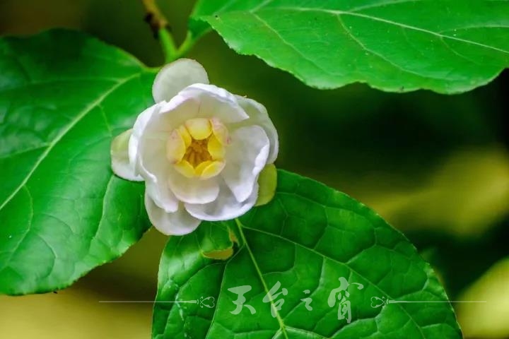 微信图片_20171027094149.jpg