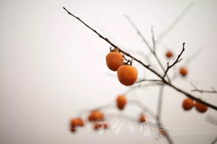 微信图片_20171101101138_副本.jpg