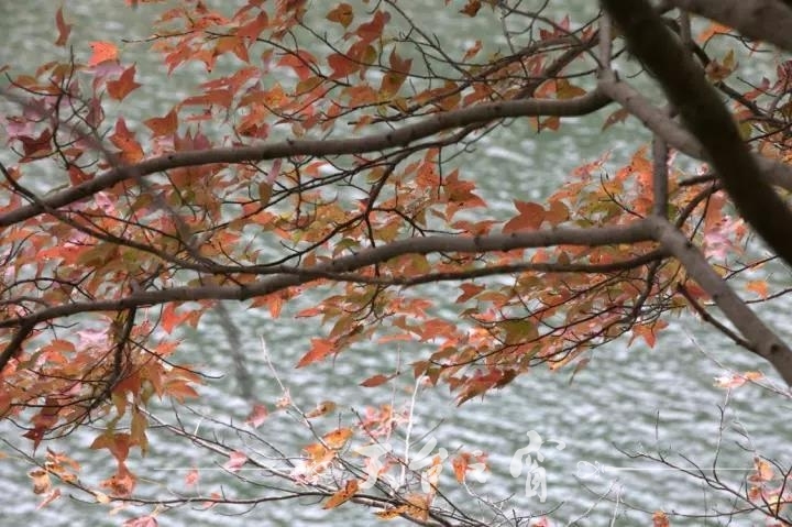 M0024FACggSDloCu8CAAwxAAAEvnzlDpjw570.jpg
