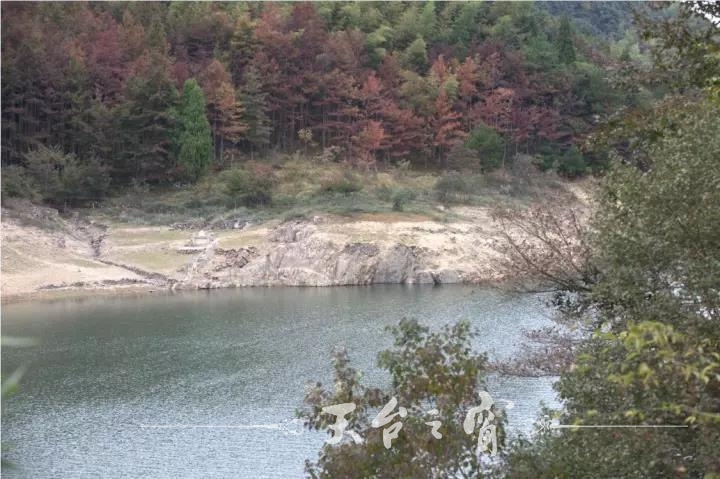M0024FACggSDloCu8aAcYrIAAEMzbW1Jus463.jpg