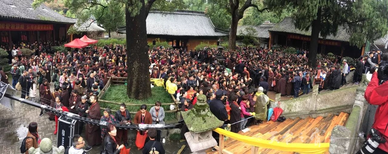 微信图片_20171118103107.jpg