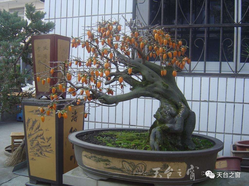 微信图片_20171118105727.jpg