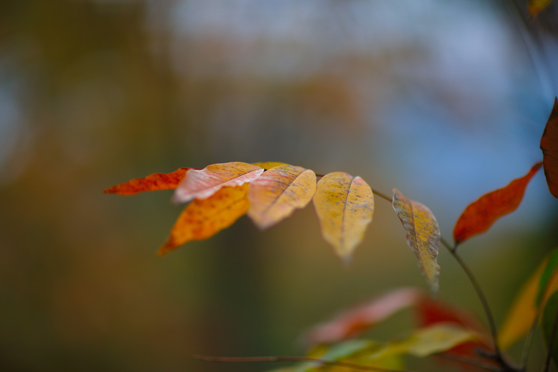 125A5163_调整大小.jpg