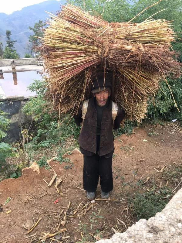 微信图片_20171128091551_副本.jpg