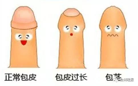 微信图片_20171205110603.jpg