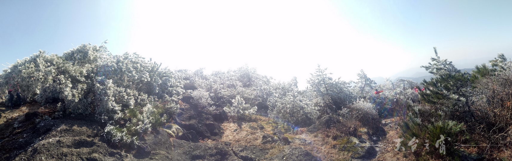 IMG20180109114924_调整大小_调整大小.jpg