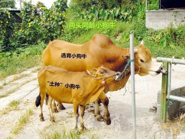 微信图片_20180115095525_副本.jpg