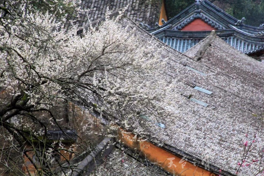微信图片_20180223093247.jpg