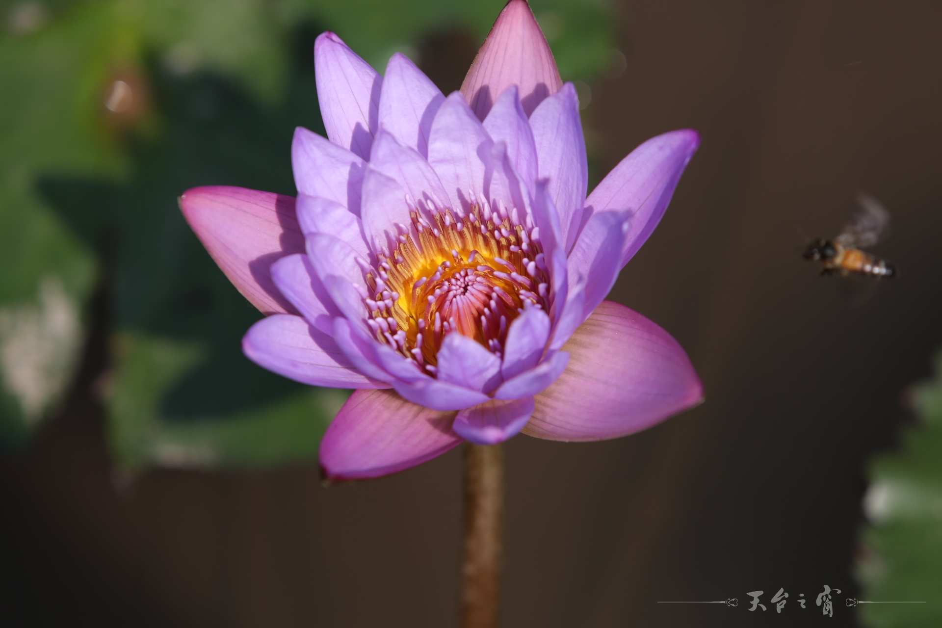 125A6709.JPG