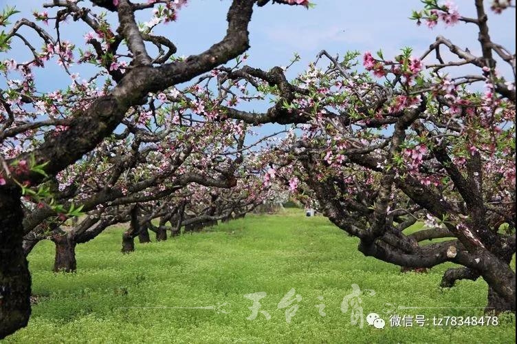 微信图片_20180312102945.jpg