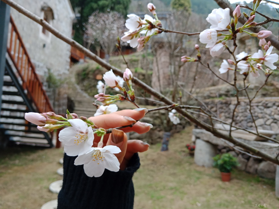 风来半山度假