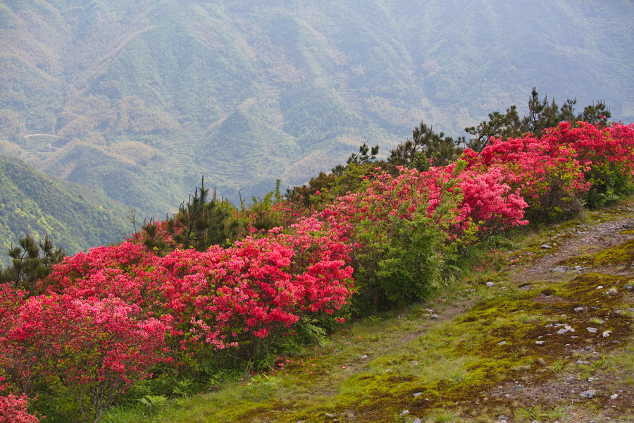 125A7862_调整大小.jpg
