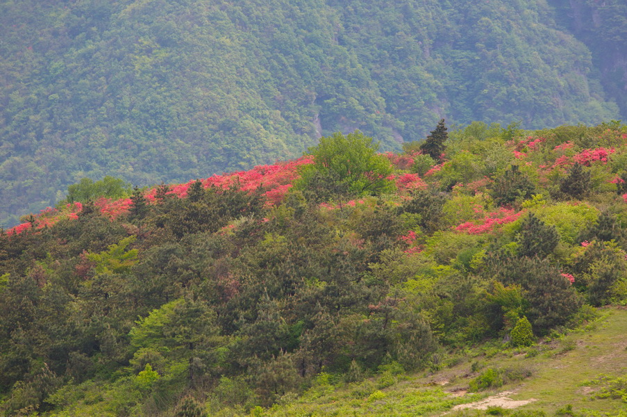 125A7910_调整大小.jpg