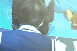 微信图片_20180423103825.gif