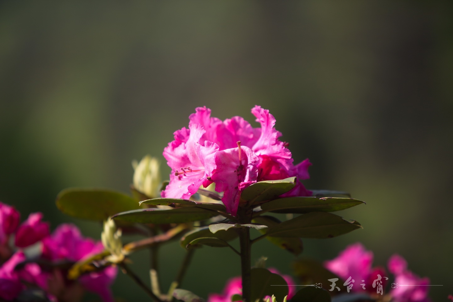 125A8641_调整大小.jpg