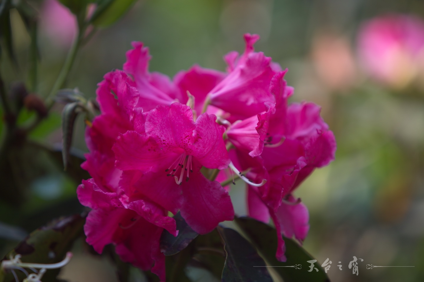 125A8644_调整大小.jpg