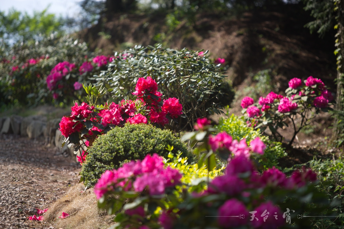 125A8649_调整大小.jpg