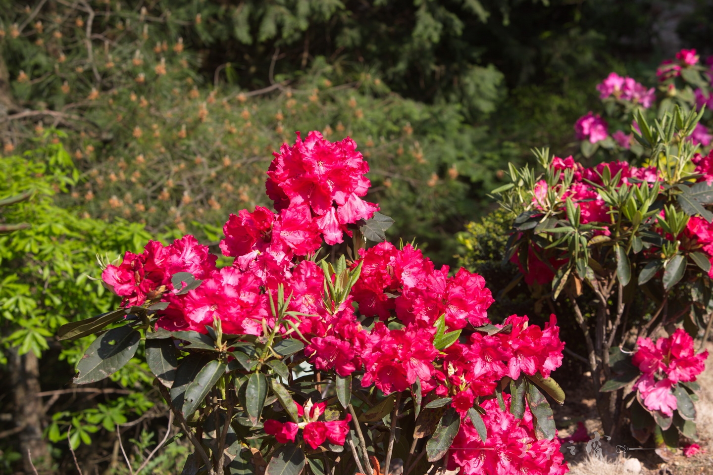 125A8656_调整大小.jpg