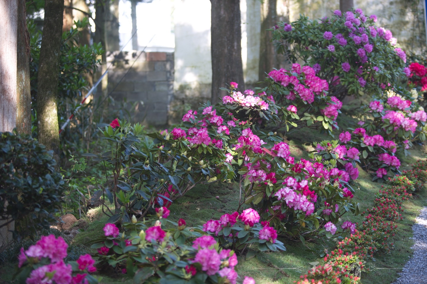 125A8634_调整大小.jpg