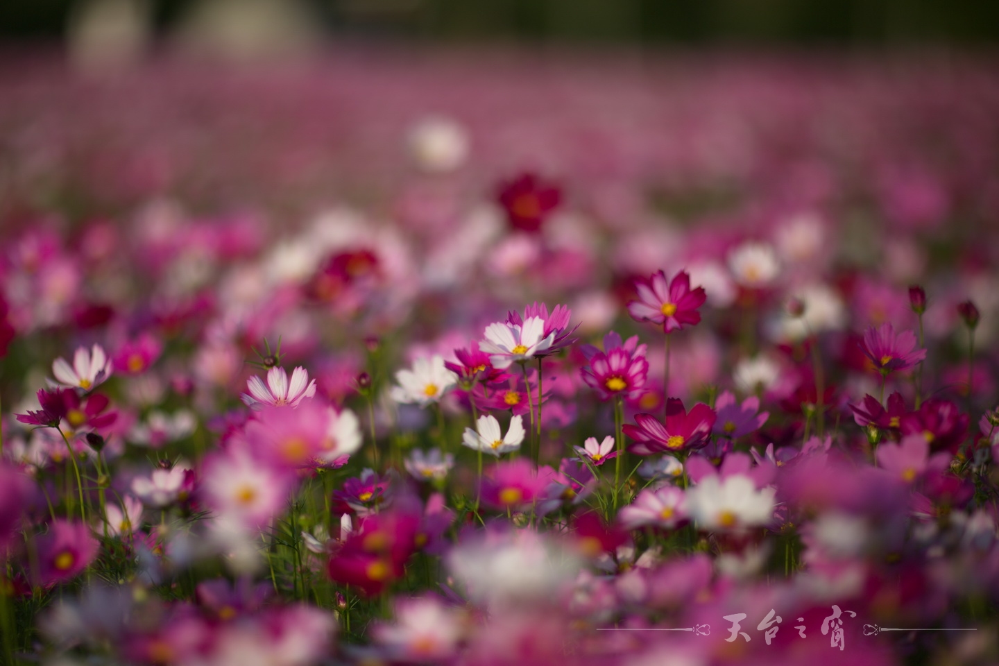 125A0273.jpg
