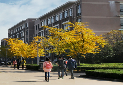 1530064285(1).png